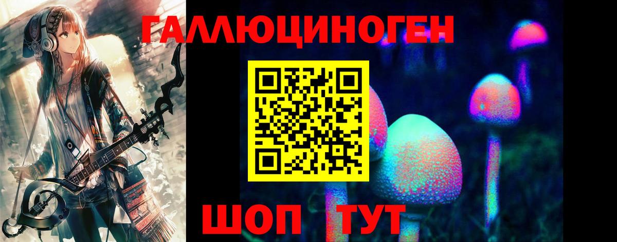 Галлюциногенные грибы GOLDEN TEACHER  сколько стоит  Звенигород  Вход с VPN 